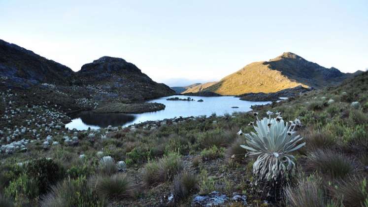 El páramo genera agua para municipios de los Santanderes. /Foto Archivo