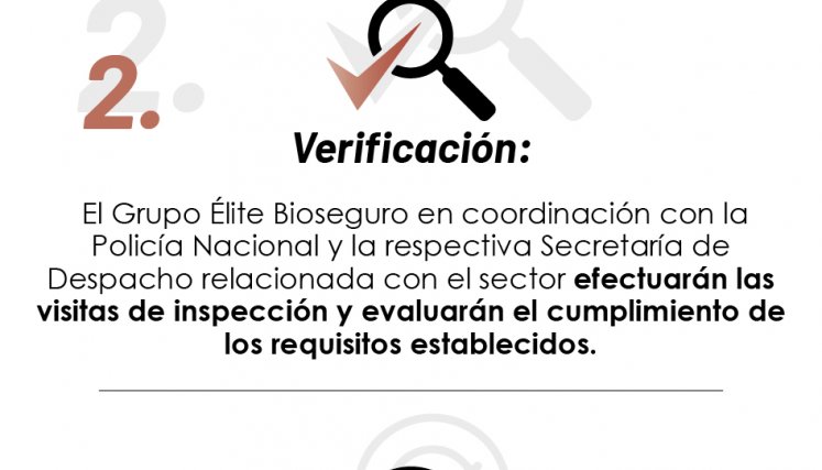Ruta del plan piloto. / Gráfico: La Opinión