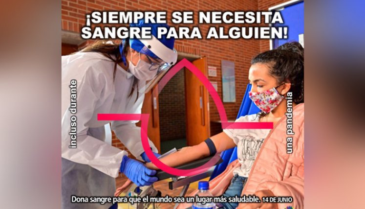 Durante el 2020, la donación se vio afectada y se estima una disminución hasta de un 50% en algunas regiones del país por la pandemia. / Foto: Cortesía