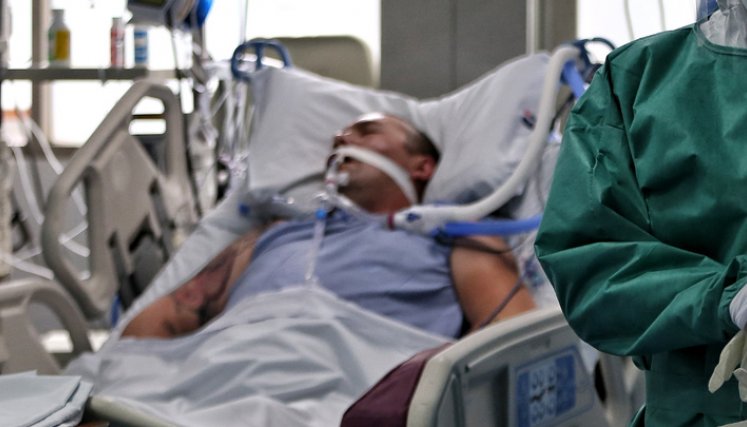 Se propone utilizar las células madre como tratamiento para normalizar el intercambio de gases y reducir los edemas pulmonares que se presentan por la COVID-19. / Foto: Colprensa