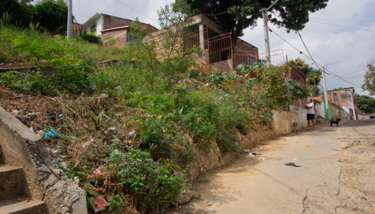 Cuberos-Niño-monte