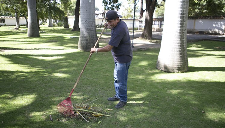 / Foto: Juan Pablo Cohen Francisco Suárez lleva más de dos décadas cuidando la zona verde de la casa natal del General Santander.
