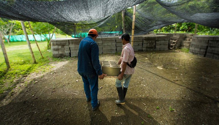 Todo el proceso es 100 % digital  por medio de  WhatsApp.