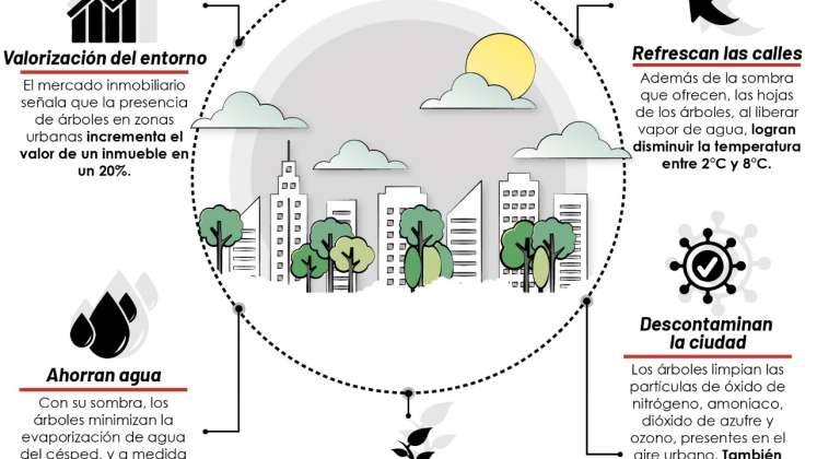 Beneficios de los árboles urbanos
