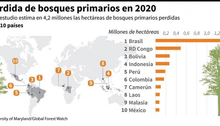 Cifras de áreas perdidas por países. / Foto: AFP