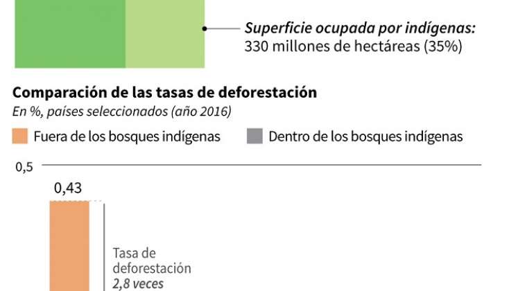 Cifras sobre cuidado del medioambiente. / Foto: AFP