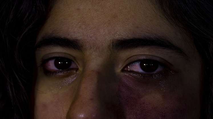 El tipo de violencia con mayores reportes fue la psicológica con 360 casos, seguida por la sexual con 247, la física con 179 y la económica/patrimonial con 42. / Cortesía 