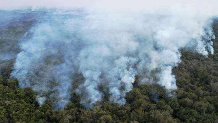 La región amazónica es de las zonas más afectadas. / Foto: AFP