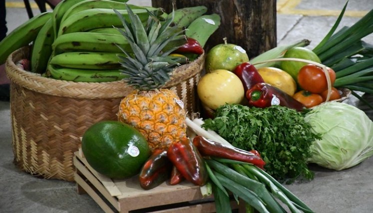 Son 34 asociaciones de 14 municipios beneficiando a 2.230 familias de la red de productores con asistencia técnica agropecuaria /Cortesía /La Opinión
