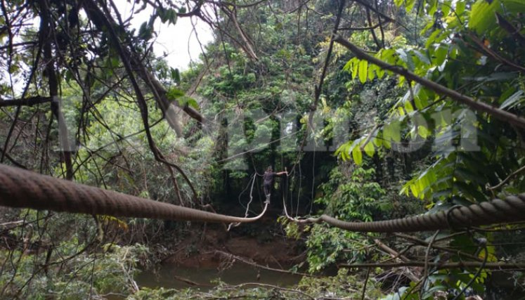 Ante la falta de un puente, en la vereda La Llana de Tibú sus habitantes cruzan sobre las cuerdas que aún quedan de la estructura. / Foto: Cortesía