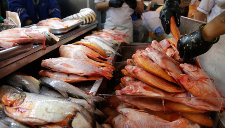 Se estima que, del total de la producción para esta Semana Santa, el 15% sea de pesca artesanal, 24% de la pesca industrial y 61% de cultivo. / Foto: Colprensa