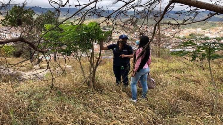 La misión es salvar los cerros tutelares cuya capa vegetal es arrasada por los incendios forestales y las construcciones. /Cortesía/ La Opinión 