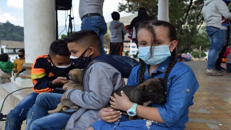 Van a hacer jornadas de vacunación contra la rabia. Al igual que esterilizaciones de machos y hembras para completar en los próximos meses un total de 75 animales./ Cortesía