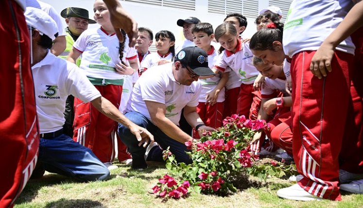 se han plantado más de 25.000 árboles de especies nativas en diferentes municipios de la región./ Cortesía/ La Opinión 