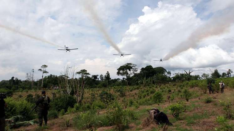 26 mil hectáreas se espera asperjar en la primera etapa de fumigaciones con glifosato./FOTO: Colprensa