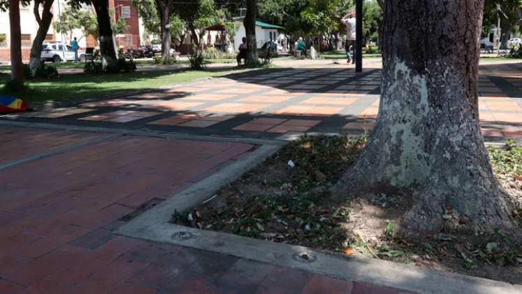 Es la sexta caneca que se roban en el parque Colón. 