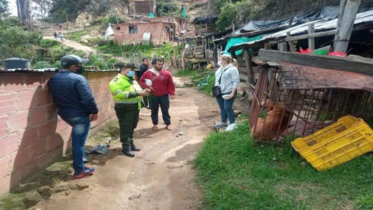 En lo corrido del 2021 han recuperado a tres animales maltratados. /Foto: Cortesía