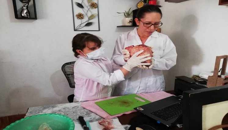 Profesora Laura Barrera. / Cortesía/ La Opinión 