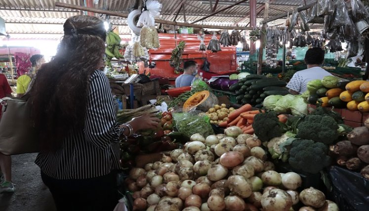 El alza en los productos de la canasta básica se agudizó ayer por el paro campesino./Foto: Luis Alfredo Estévez/ La Opinión 
