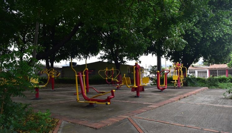 La falta de mantenimiento en los árboles oculta la luz de las farolas y ha dejado al parque en constante oscuridad. / Fotos Pablo Castillo / La Opinión.