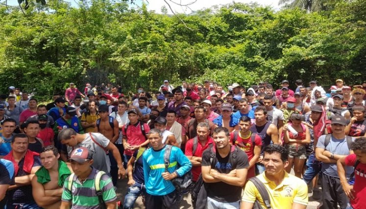 Arroceros y campesinos del Catatumbo piden atención inmediata del Gobierno Nacional./Foto: suministrada