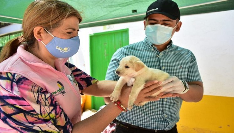 El alcalde de Los Patio, José Miguel Bonilla invitó a la comunidad a llevar a sus mascotas a esta jornada./Foto: cortesía