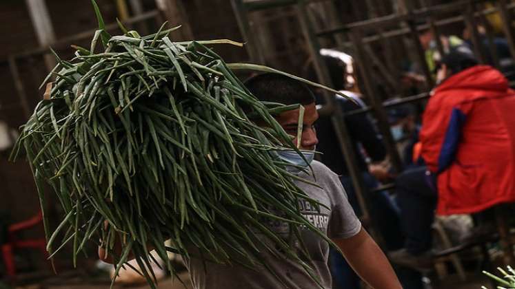 Defensoría alerta por posible colapso alimentario en Colombia./Foto: colprensa