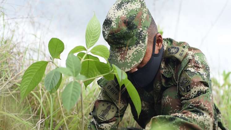 Ejercito-en-Ocaña-reforestación