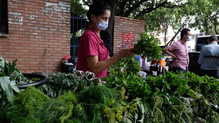 Hija de una guajira, Yolima Castellanos adquirió sus  conocimientos medicinales por herencia oral de su madre.