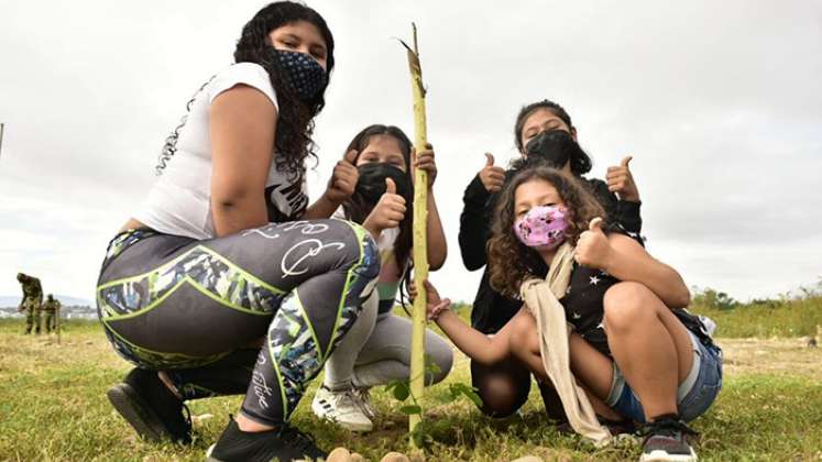 Siembra de árboles en Cúcuta.