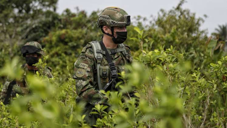 , en el 2020 se detectó el incremento en la productividad de hoja de coca en las regiones del Catatumbo y Central, con un promedio de 5,9 tm/ha/ año10 y 7,7 tm/ha/año11, respectivamente. 