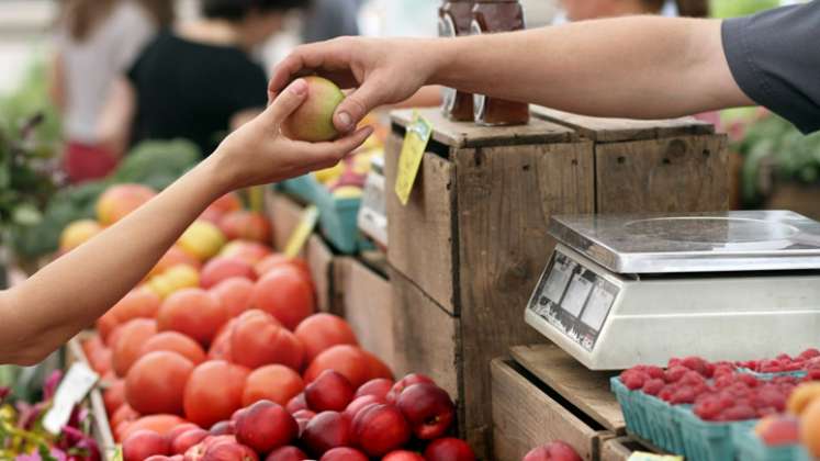 Se busca fortalecer los procesos productivos y de comercialización del sector hortifrutícula en Norte de Santander. / Foto: Archivo La Opinión