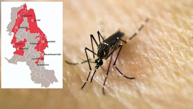 El dengue en Norte de Santander