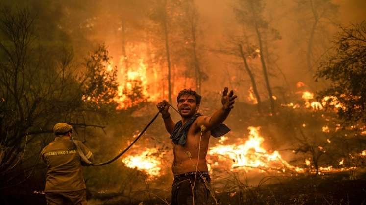 Los incendios forestales se registran a diario.