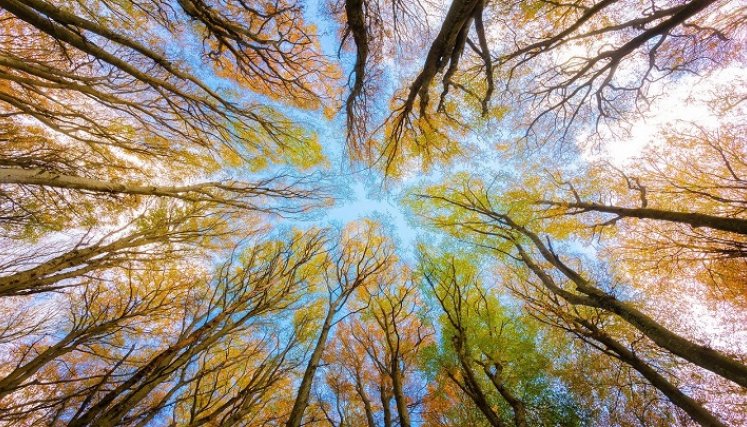 Hay que preservar el medio ambiente