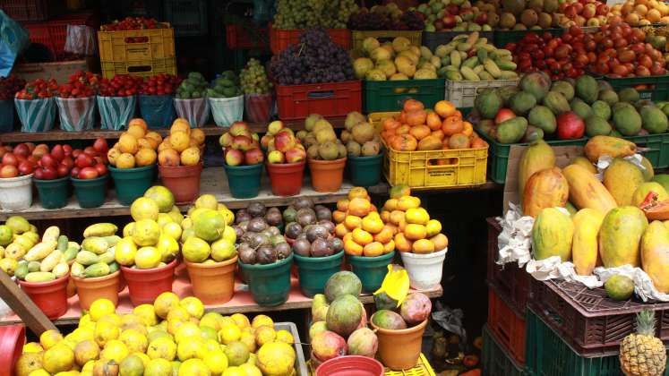 Alimentos para niños