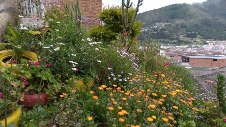 La comunidad quiere convertir Las Margaritas en el jardín de Pamplona. / Cortesía/ La Opinión. 