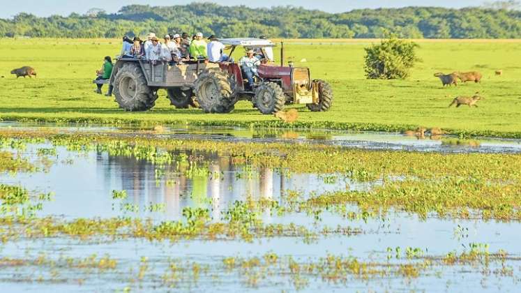 Paisajes de Casanare.