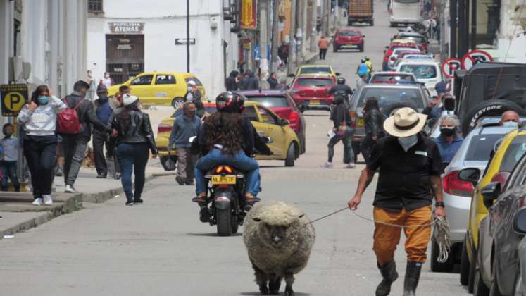 La jornada busca mejorar la movilidad en el centro de Pamplona.  / Foto: Roberto Ospino/La Opinión