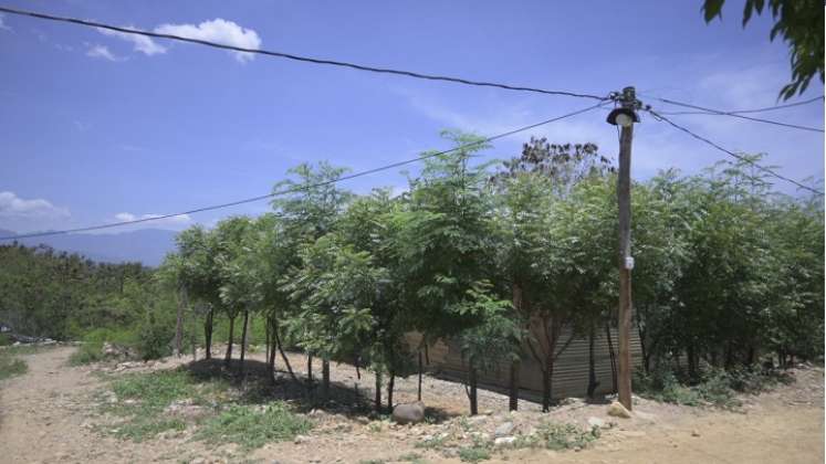 No se ha instalado sistema eléctrico ni alcantarillado porque la zona está catalogada como alto riesgo.