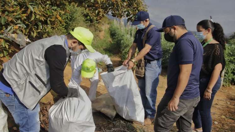 Hasta la fecha han recolectado 140 toneladas. / Foto: Cortesía / La Opinión 