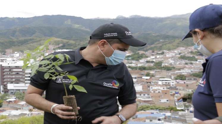 La administración municipal coordina los planes de reforestación en la zona rural.