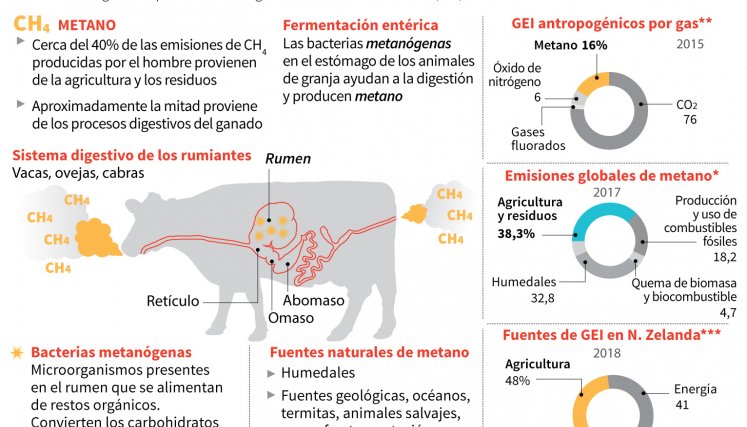 Datos de la ganadería