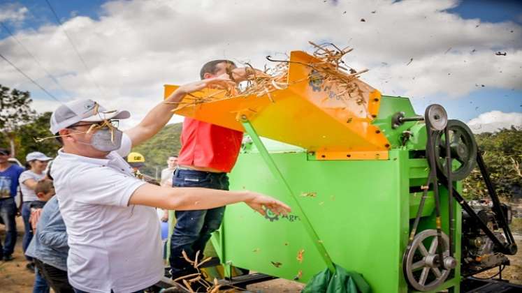 Los productores adoptan estrategias para la clasificación del grano.