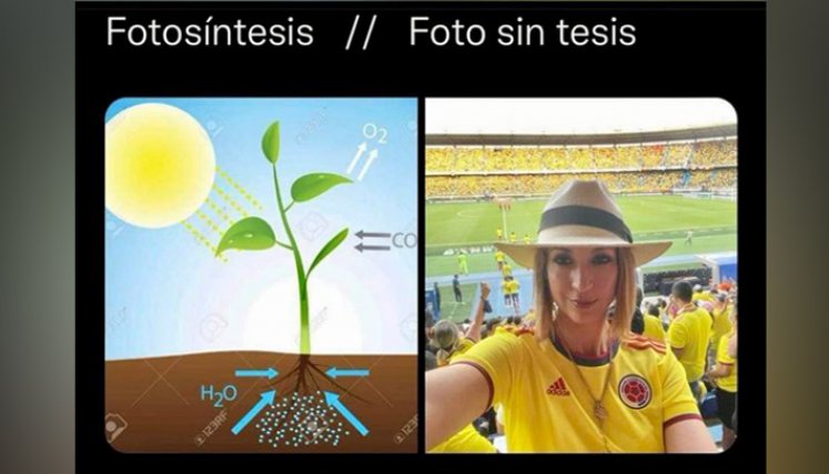 Los memes en redes sociales, tras el plagio de la tesis de Jennifer Arias 