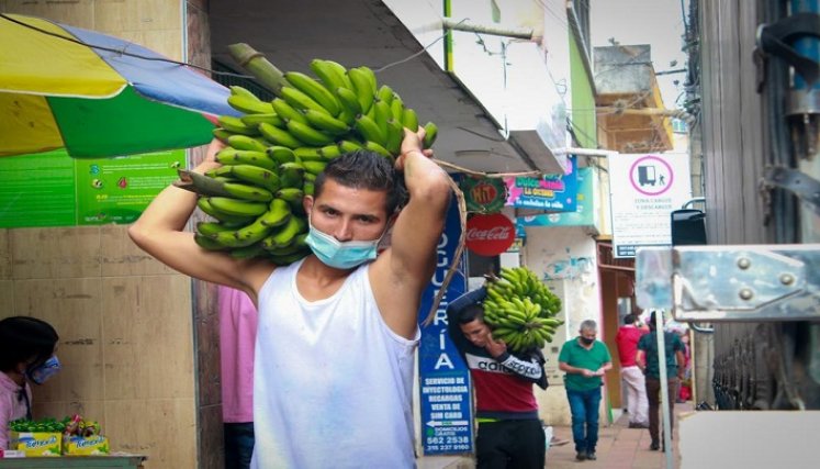 Los trabajadores informales de las plazas de mercado serán capacitados sobre los riesgos atinentes a sus oficios. / Foto: Cortesía / La Opinión