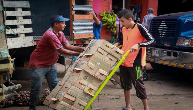 Todos sin excepción recibirán charlas para prevenir los riesgos.
