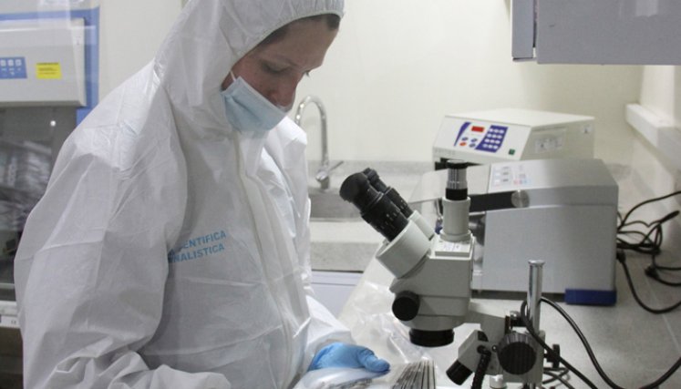 Este estudio examina el papel de una proteína, conocida como MC3R, relacionada con el desarrollo.
