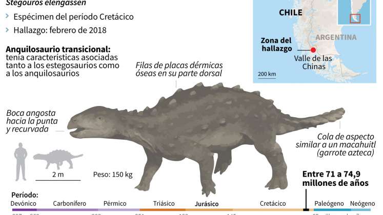 Infografía dinosaurio