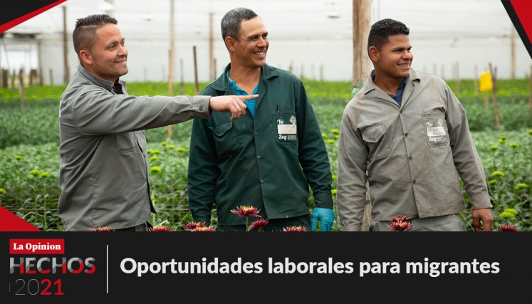 Oportunidades laborales para migrantes.